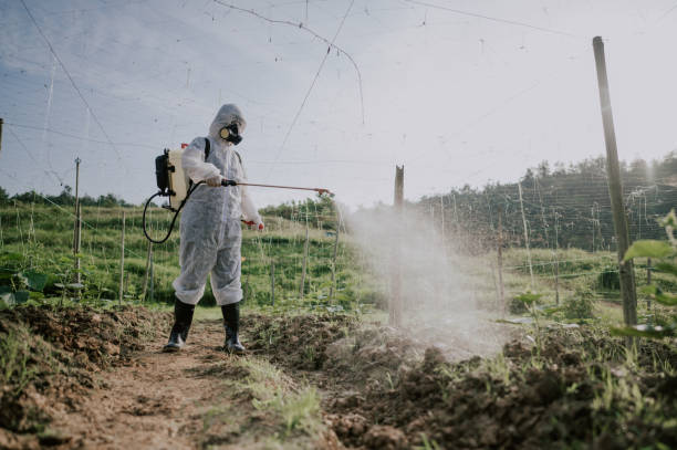 Best Affordable Pest Control Services  in Helena West Side, MT