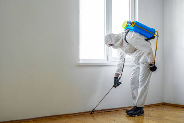 Best Pest Prevention Services  in Helena West Side, MT