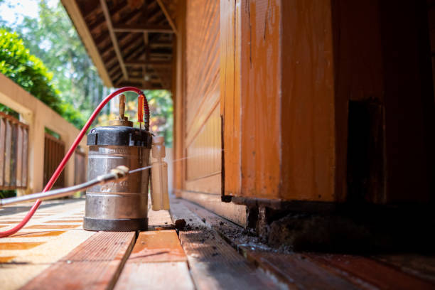 Best Cockroach Control Services  in Helena West Side, MT