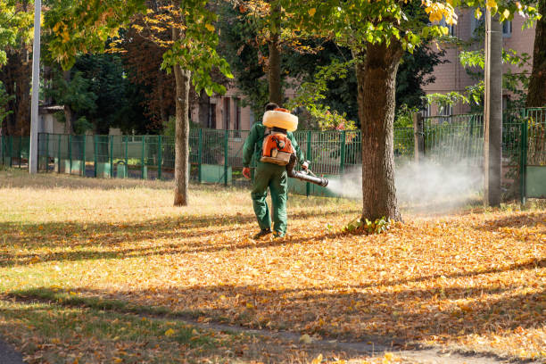 Pest Control for Restaurants in Helena West Side, MT