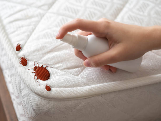 Best Local Pest Control Services  in Helena West Side, MT