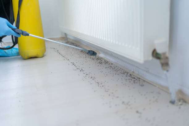 Best Emergency Pest Control  in Helena West Side, MT